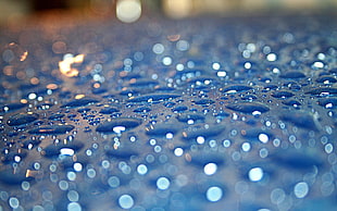 close-up photography of dew drops
